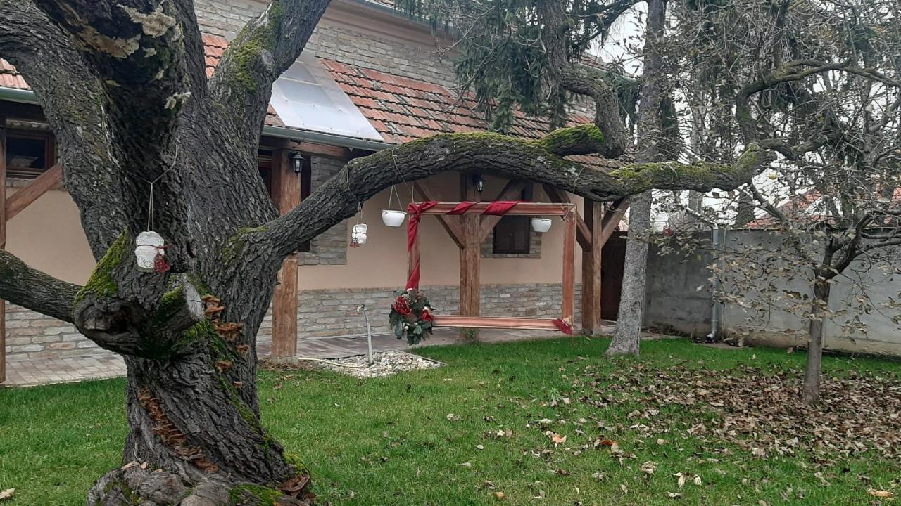 Villa Rusztika غيولا المظهر الخارجي الصورة